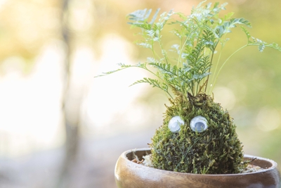 hJcyWLMmwU9zaTCVRQtN.jpg?w=940&h=940