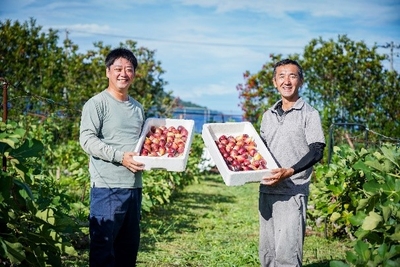 hJeTvFzId34lBDmIiEvh.jpg?w=940&h=940