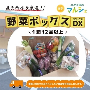 〇店長厳選！！野菜ボックスDX１２品以上！【３月中旬～４月発送】