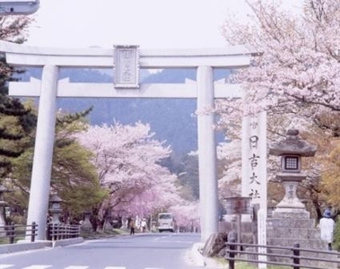 hL0L0QrdEnukaoMTJ0Fr.jpg?w=940&h=940