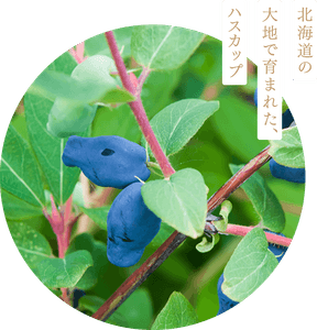 hLKP0LHFE5VdEl4ZcWF2.png?w=940&h=940