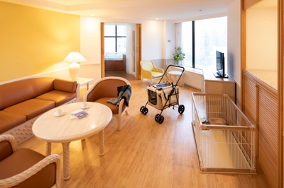 hLOqVL4fzBU2J8sP0uI7.jpg?w=940&h=940