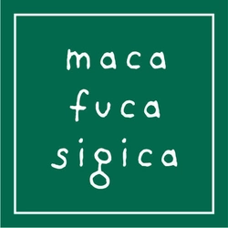 株式会社マカフカシギカ