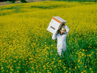 hMMuRajWz36csLnRvNZb.jpg?w=940&h=940