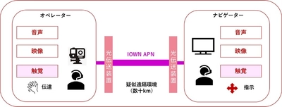 世界初、ミライセンスとNTT ComがIOWN APNと3DHapticsを活用し視覚・聴覚・触力覚をリアルタイムで伝送する実証実験を実施