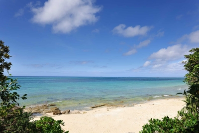 hNhSMmFQfZhm8WDUI6i5.jpeg?w=940&h=940