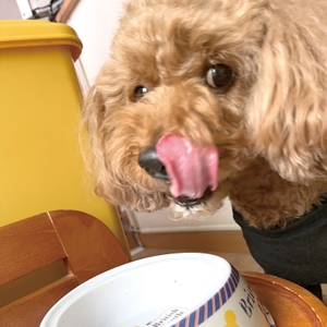 hOLsCjfeWAYb9AaVaSke.jpg?w=940&h=940