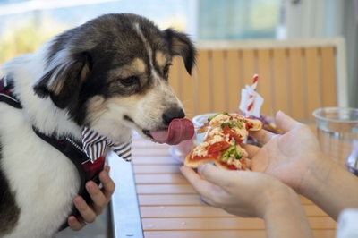 hOqR7TpSb8uiemd8UGg1.jpg?w=940&h=940