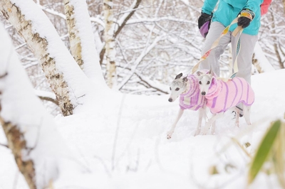 hP4rint9ydUZiDpyQwjr.jpg?w=940&h=940