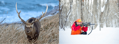 hP5t9IlbsMOzmhjqWObZ.png?w=940&h=940