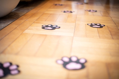 hQ2CgGPcrXeZAqQOZH8m.jpg?w=940&h=940