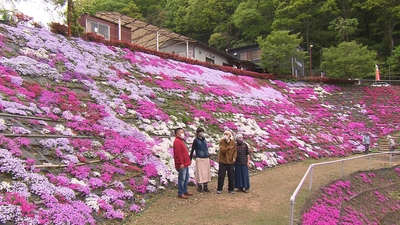 hQZoKoH2PSlH3yGLUzc4.jpg?w=940&h=940