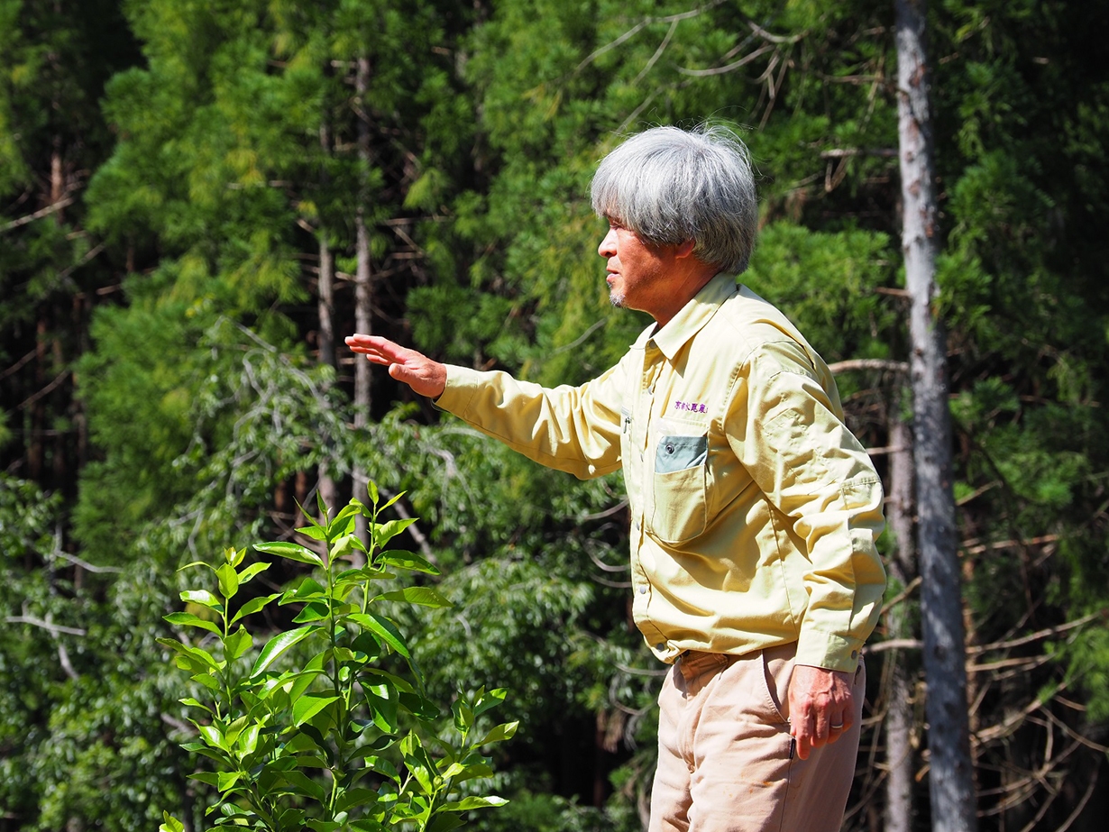 京ゆず農園(村上さん)