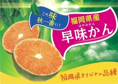 hSZ6inXlYbBwbx1DgoZD.jpg?w=940&h=940