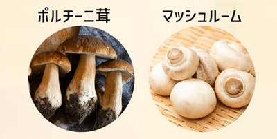 hTDf39GlrBkM0QNKU64a.png?w=940&h=940