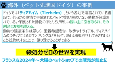 hVWnXvMrcHjXfOn1aLvL.jpg?w=940&h=940