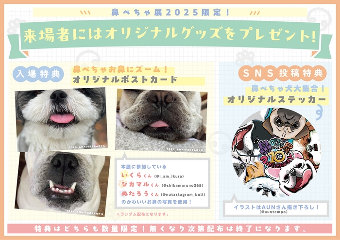 「ぺちゃ犬になれる」10周年記念ポストカードプレゼント