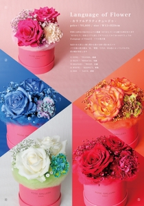 hVt3qzMHXiCDFom0Yxbb.jpg?w=940&h=940