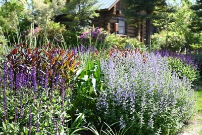 hW6AMIq5qWgdEwGrzHwm.jpg?w=940&h=940