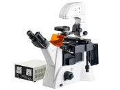 hWe9HhzkF9usS7pL17W5.png?w=940&h=940