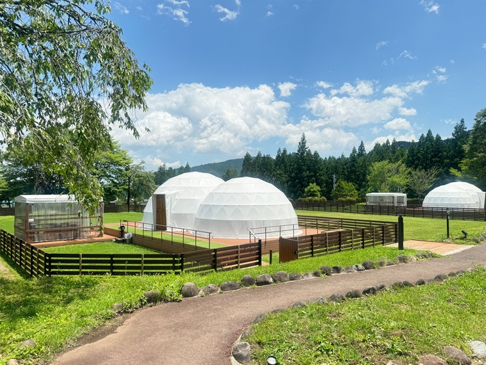 緑豊かな環境とドームテント