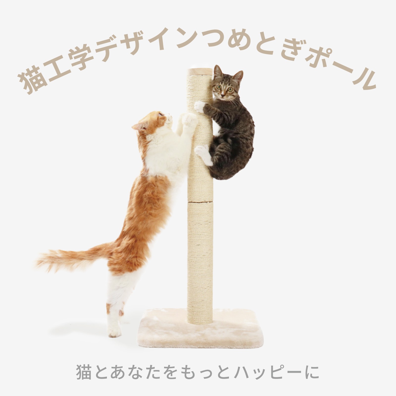 猫オーナーの57％がタテ型タイプの爪とぎを愛用 即完売するほど大人気