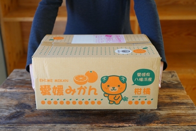 hZ4HfwXlMdGOyI6pJcGd.jpg?w=940&h=940