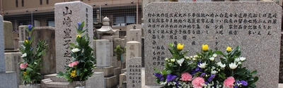 hZu2GSorpzhoQOo82Tu9.jpg?w=940&h=940