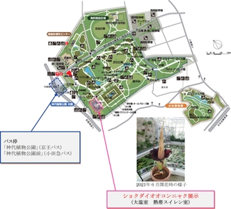 hbEv7i4SYFepfZtArrLP.jpg?w=940&h=940