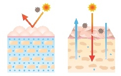 hbExzAJLjXVYVMFaWdCT.jpg?w=940&h=940