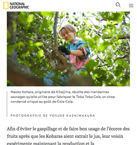 hd2qaJK39HV01dLFjFA0.png?w=940&h=940