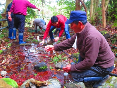 hdzPfxjbc4S07D7tSk9I.jpg?w=940&h=940