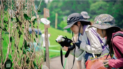 hf6vt7GIa2NodbP3UGwH.jpg?w=940&h=940