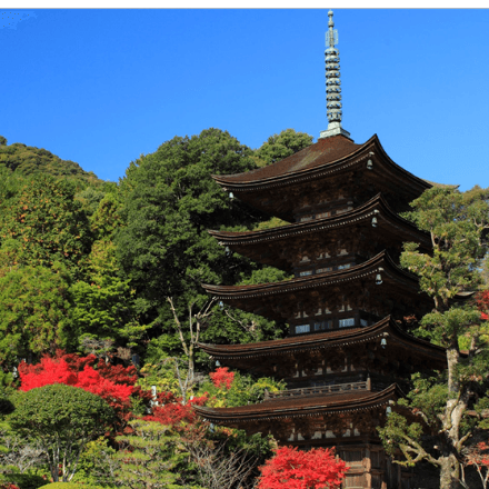 ポイント1 国宝瑠璃光寺五重塔(山口市)