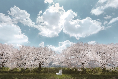 hi4Jo6HIhUw3Ztv1uwZW.jpg?w=940&h=940