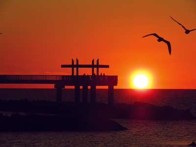 hkTlJCu3mpCQ61jt2er7.jpg?w=940&h=940