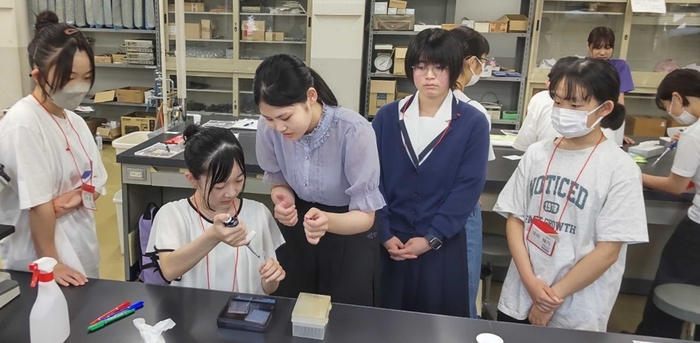 令和6年(2024年)に実施した体験型公開講座の様子