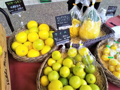 hmBdQvOcbNL9Ggg4E5zJ.jpg?w=940&h=940