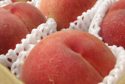 hmyBnABaRsaxISEMknnZ.jpg?w=940&h=940