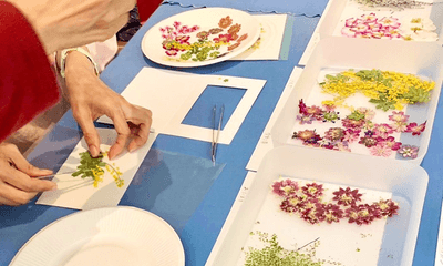 hnaeosXrabO8mPfzukIw.png?w=940&h=940