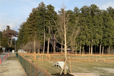 hnmViisKzQha5eVtw9uD.JPG?w=940&h=940