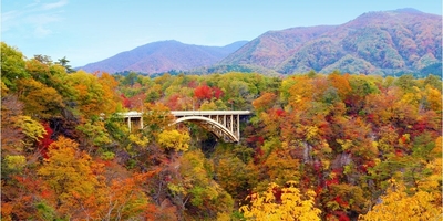 hnxXUY3oknBYEKPKUnG8.jpg?w=940&h=940