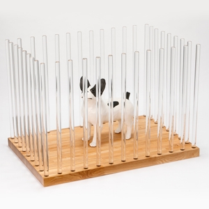 hoO7KF95IIEL6NoChNMT.jpg?w=940&h=940