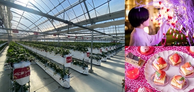 hp7YgZ7CvPJkczJz1uSR.jpg?w=940&h=940