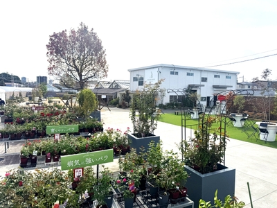 hpixA2wYDwQRq8JXjSPy.JPG?w=940&h=940