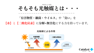 hps1REjhqgJ22D1Na3ZI.png?w=940&h=940