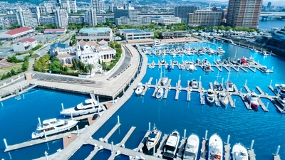 hqHC1qPk3ayB0TsqsV0K.jpg?w=940&h=940