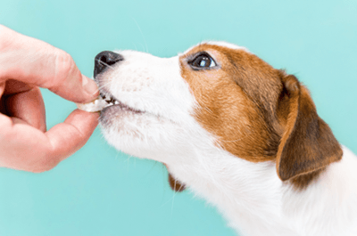 hri7qNesqfSxIXHwJxDL.png?w=940&h=940