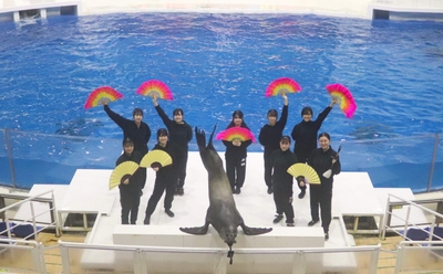 hsNHTlPs1OlhCcEQed9u.jpg?w=940&h=940