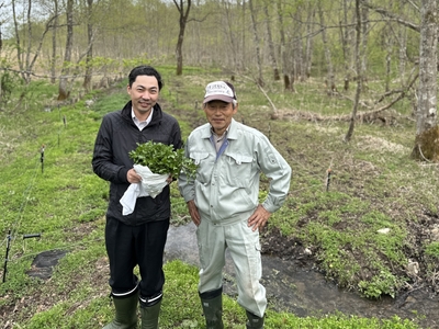 htI01ctUBDC8lEJgcaFq.JPG?w=940&h=940